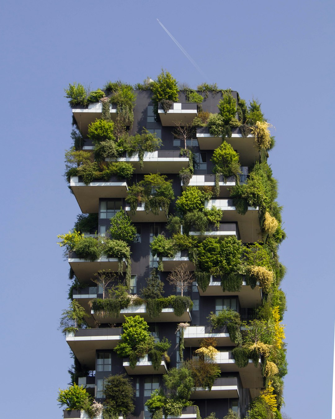Sustainable Urban Development