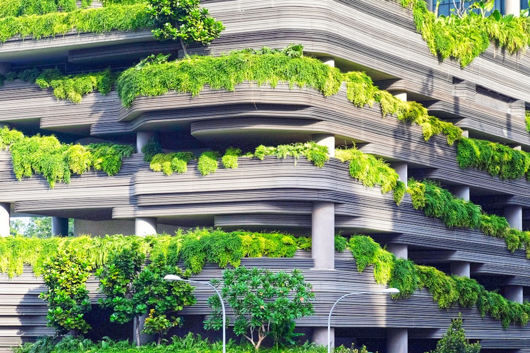 Renewable Energy Revolution